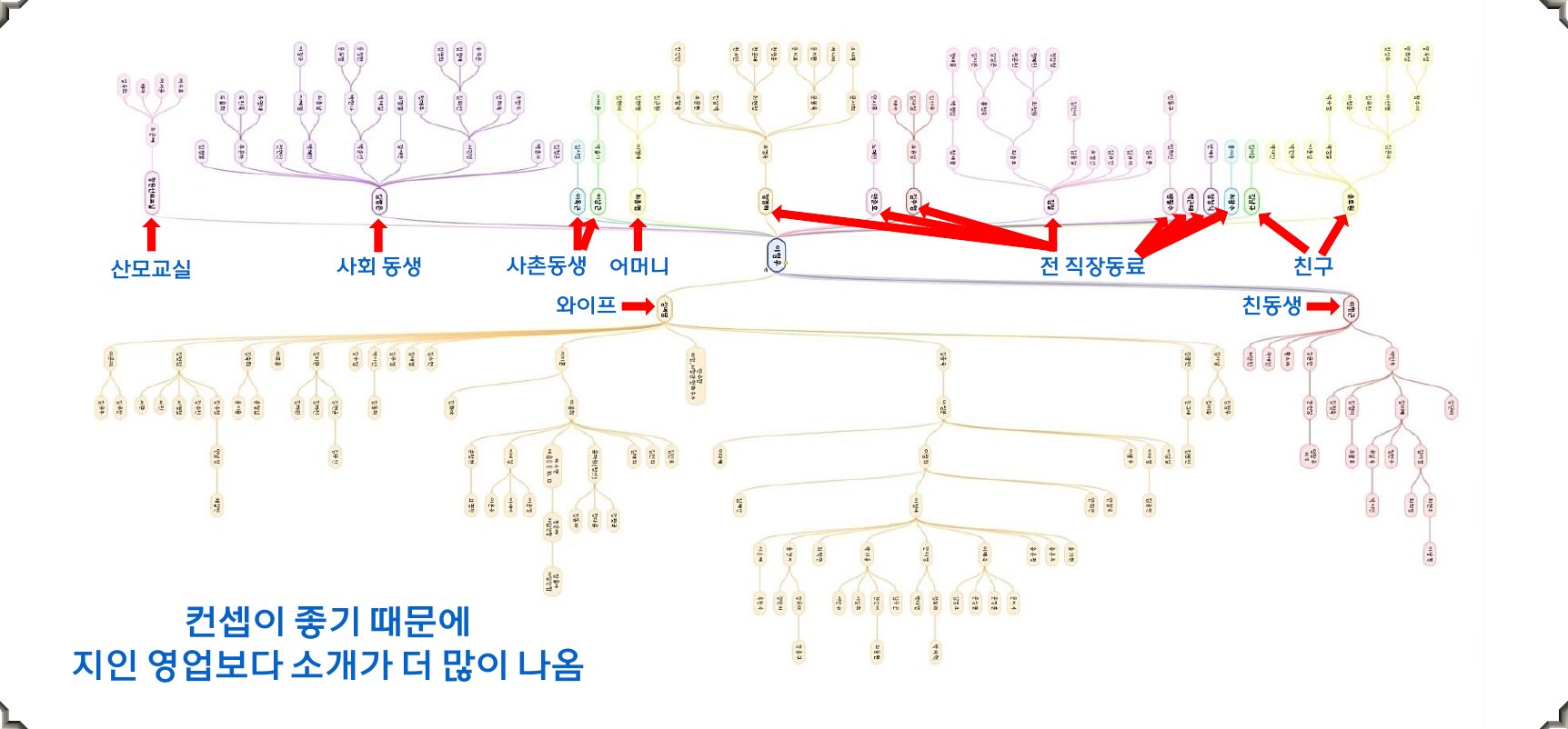 소개 계보도